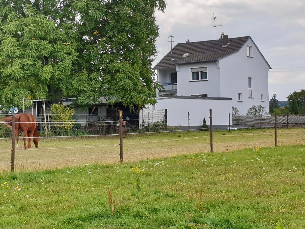 Haus Im Gruenen Villa Bornheim  Ngoại thất bức ảnh