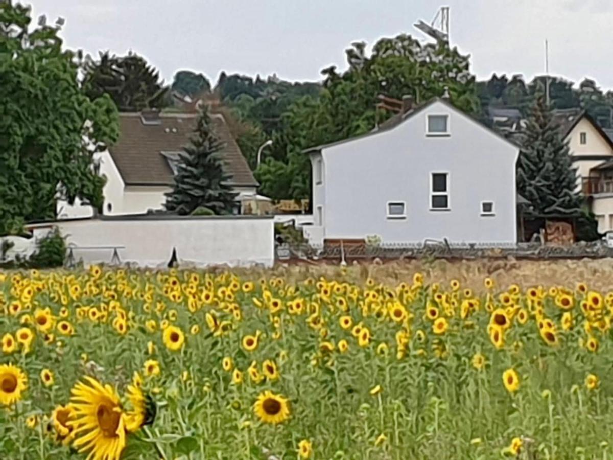 Haus Im Gruenen Villa Bornheim  Ngoại thất bức ảnh